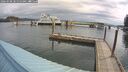 ./images/quadra/hbidock/20260508/hbidock20260508_090000M.jpg