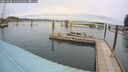 ./images/quadra/hbidock/20260508/hbidock20260508_115502M.jpg