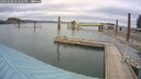 ./images/quadra/hbidock/20260508/hbidock20260508_172501M.jpg