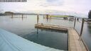 ./images/quadra/hbidock/20260509/hbidock20260509_115001M.jpg