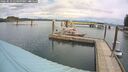 ./images/quadra/hbidock/20260510/hbidock20260510_114500M.jpg
