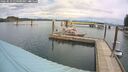 ./images/quadra/hbidock/20260510/hbidock20260510_114501M.jpg