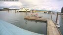 ./images/quadra/hbidock/20260510/hbidock20260510_130001M.jpg