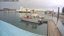 ./images/quadra/hbidock/20260515/hbidock20260515_134500M.jpg