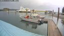 ./images/quadra/hbidock/20260515/hbidock20260515_135001M.jpg