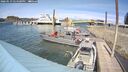 ./images/quadra/hbidock/20260519/hbidock20260519_144501M.jpg