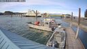 ./images/quadra/hbidock/20260519/hbidock20260519_170001M.jpg