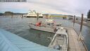 ./images/quadra/hbidock/20260523/hbidock20260523_150500M.jpg