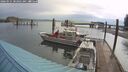 ./images/quadra/hbidock/20260525/hbidock20260525_082001M.jpg