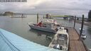 ./images/quadra/hbidock/20260525/hbidock20260525_104502M.jpg