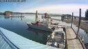 ./images/quadra/hbidock/20260530/hbidock20260530_094500M.jpg