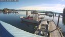 ./images/quadra/hbidock/20260602/hbidock20260602_082000M.jpg