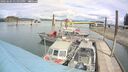 ./images/quadra/hbidock/20260604/hbidock20260604_132000M.jpg
