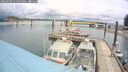 ./images/quadra/hbidock/20260605/hbidock20260605_115000M.jpg