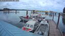 ./images/quadra/hbidock/20260608/hbidock20260608_051000M.jpg
