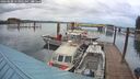 ./images/quadra/hbidock/20260608/hbidock20260608_053001M.jpg