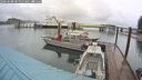./images/quadra/hbidock/20260608/hbidock20260608_090000M.jpg