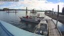 ./images/quadra/hbidock/20260611/hbidock20260611_091001M.jpg