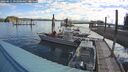 ./images/quadra/hbidock/20260611/hbidock20260611_092001M.jpg
