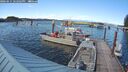 ./images/quadra/hbidock/20260611/hbidock20260611_182002M.jpg