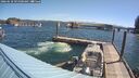 ./images/quadra/hbidock/20260618/hbidock20260618_095000M.jpg