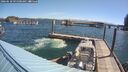 ./images/quadra/hbidock/20260618/hbidock20260618_095001M.jpg