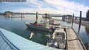 ./images/quadra/hbidock/20260623/hbidock20260623_095000M.jpg