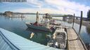 ./images/quadra/hbidock/20260623/hbidock20260623_095001M.jpg