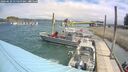 ./images/quadra/hbidock/20260629/hbidock20260629_115500M.jpg