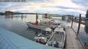 ./images/quadra/hbidock/20260711/hbidock20260711_060500M.jpg