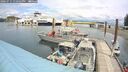 ./images/quadra/hbidock/20260711/hbidock20260711_130501M.jpg