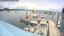 ./images/quadra/hbidock/20260711/hbidock20260711_143501M.jpg