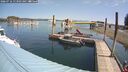 ./images/quadra/hbidock/20260716/hbidock20260716_113501M.jpg