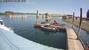 ./images/quadra/hbidock/20260716/hbidock20260716_114000M.jpg