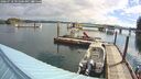 ./images/quadra/hbidock/20260718/hbidock20260718_091000M.jpg