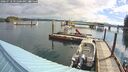 ./images/quadra/hbidock/20260718/hbidock20260718_091001M.jpg