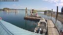 ./images/quadra/hbidock/20260724/hbidock20260724_103001M.jpg