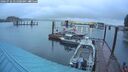 ./images/quadra/hbidock/20260726/hbidock20260726_055000M.jpg