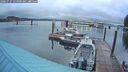 ./images/quadra/hbidock/20260727/hbidock20260727_053500M.jpg