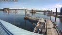 ./images/quadra/hbidock/20260729/hbidock20260729_093002M.jpg