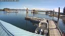 ./images/quadra/hbidock/20260729/hbidock20260729_095500M.jpg