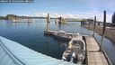 ./images/quadra/hbidock/20260729/hbidock20260729_102502M.jpg