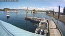 ./images/quadra/hbidock/20260729/hbidock20260729_103000M.jpg