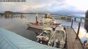 ./images/quadra/hbidock/20260801/hbidock20260801_064501M.jpg