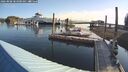 ./images/quadra/hbidock/20260808/hbidock20260808_083000M.jpg