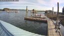 ./images/quadra/hbidock/20260809/hbidock20260809_091502M.jpg