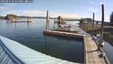 ./images/quadra/hbidock/20260810/hbidock20260810_092000M.jpg