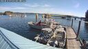 ./images/quadra/hbidock/20260818/hbidock20260818_095501M.jpg
