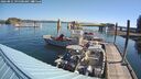 ./images/quadra/hbidock/20260821/hbidock20260821_095500M.jpg