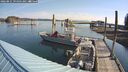 ./images/quadra/hbidock/20260825/hbidock20260825_094501M.jpg